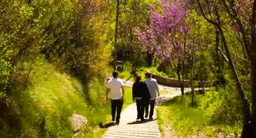 visitesGrupals Visites per a particulars